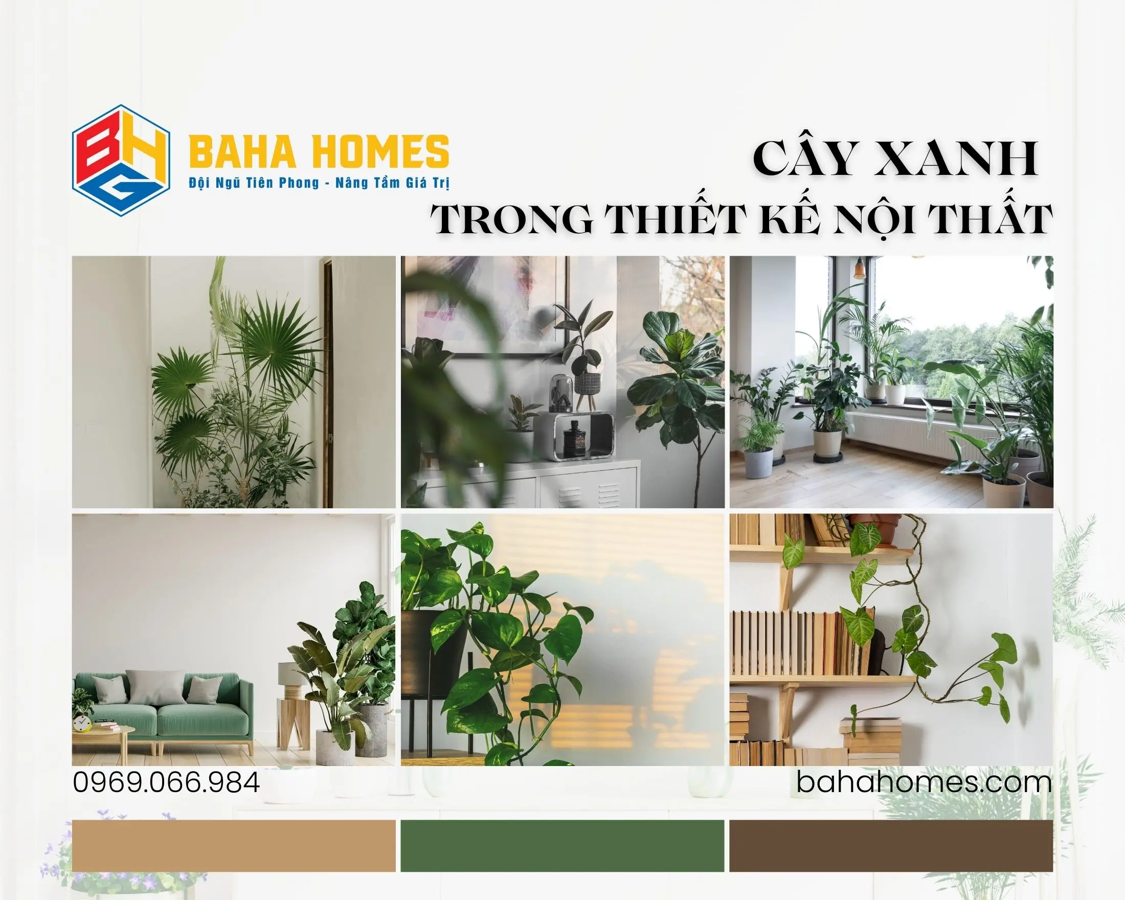 Cây Xanh Trong Thiết Kế Nội Thất: 5 Nguyên Tắc Ứng Dụng Từ Baha Homes Để Kiến Tạo Không Gian Sống Khỏe