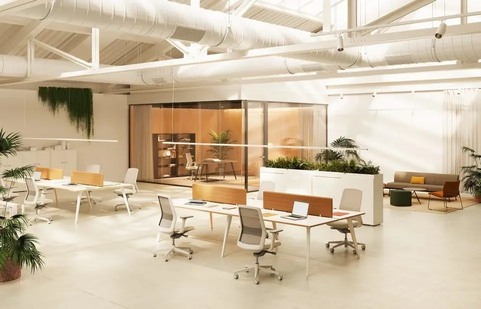 Mẫu thiết kế nội thất phòng làm việc chung kết hợp cây xanh