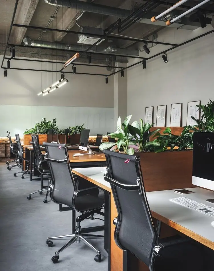 Thi công văn phòng làm việc chung với cây xanh